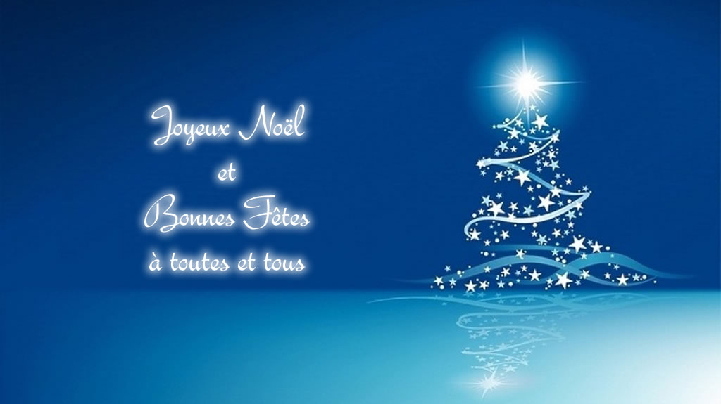 Joyeux Noel 18 Tc Belle Fleur